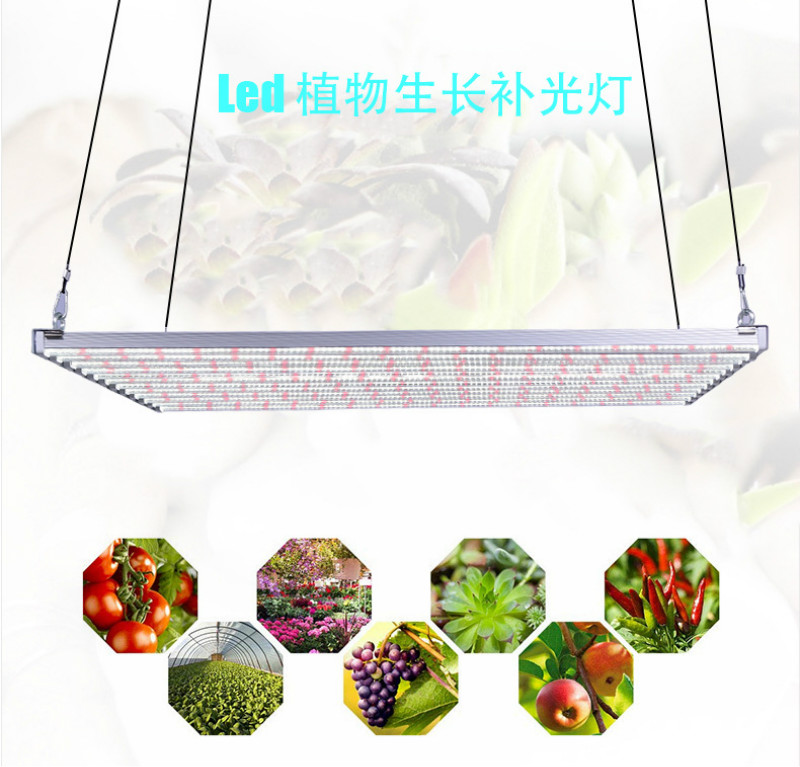 深圳植物燈廠家直銷300W八爪魚(yú)植物生長(zhǎng)燈 仿太陽(yáng)光全光譜植物補(bǔ)光燈