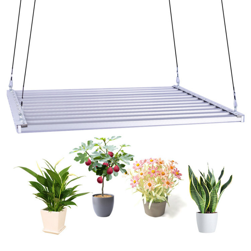 植物燈照明公司供應(yīng)500W八爪魚(yú)植物生長(zhǎng)燈仿太陽(yáng)光全光譜植物燈 藍(lán)莓補(bǔ)光燈