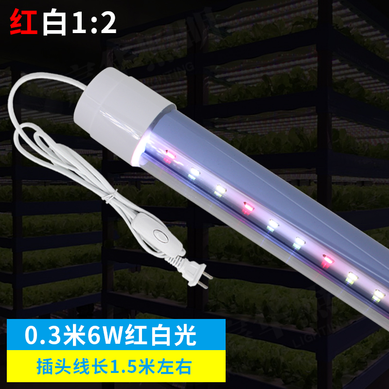 0.3米6W植物生長(zhǎng)燈管 紅白光溫室組培補(bǔ)光燈 多肉花卉防太陽(yáng)光植物生長(zhǎng)燈管
