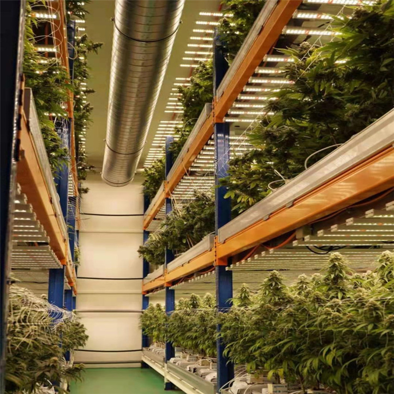 大功率植物生長(zhǎng)燈 600W八爪魚植物生長(zhǎng)燈 明緯調(diào)光電源 三星全光譜燈珠