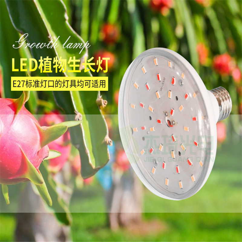 火龍果補(bǔ)光專用燈  LED植物補(bǔ)光燈  戶外防水植物補(bǔ)光燈  火龍果生長(zhǎng)補(bǔ)光燈