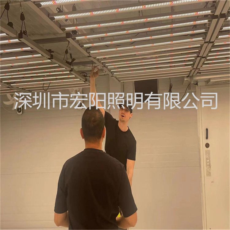 八爪魚植物生長(zhǎng)燈廠家 出口泰國(guó)大棚種植麻藥補(bǔ)光燈 1000W植物燈
