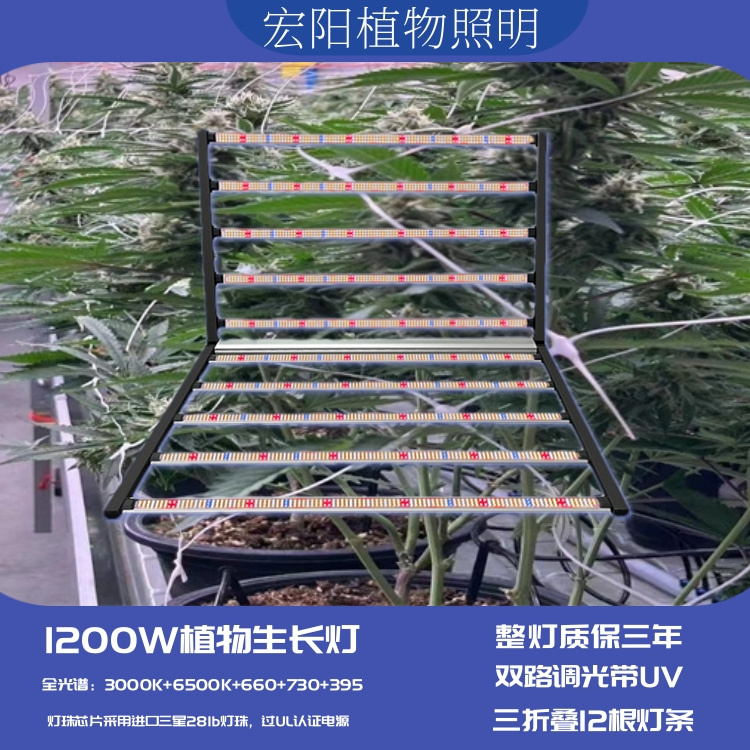 植物生長燈廠家直銷1000W八爪魚植物補光燈 出口泰國植物農(nóng)場麻藥種植燈