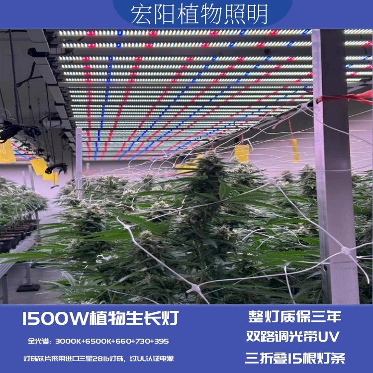 全光譜1500W植物生長燈 大棚種植蔬菜植物補光燈 出口美國大棚藥材種植燈